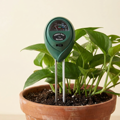 Soil meter in a potted plant